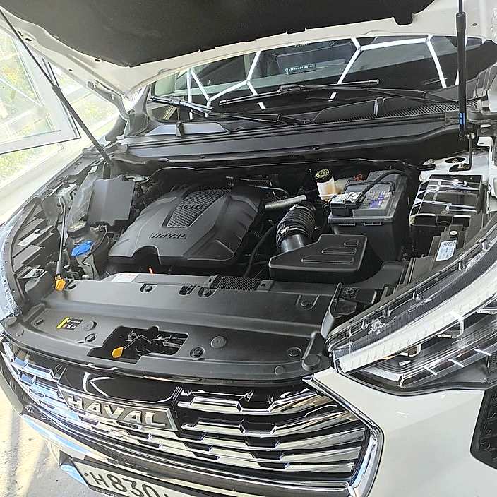 Мойка двигателя